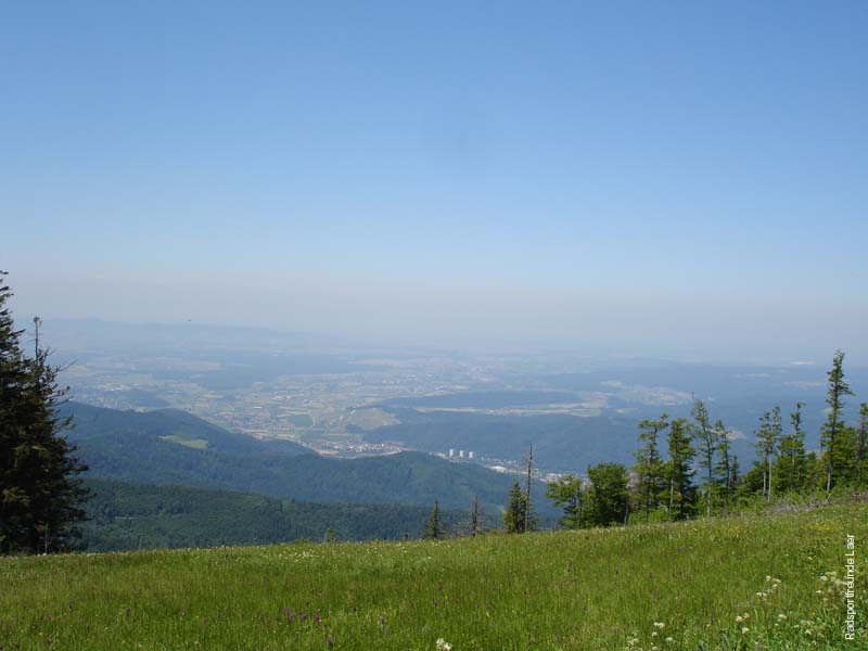124_DSC00401