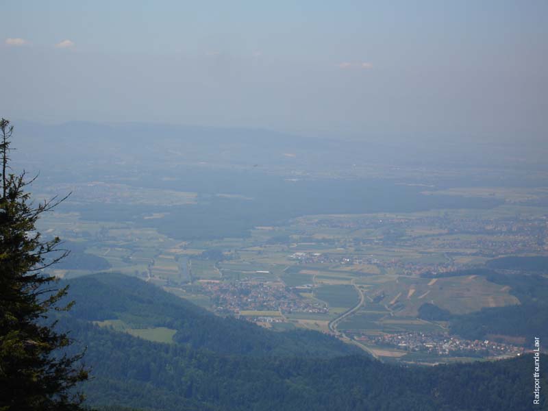 131_DSC00409