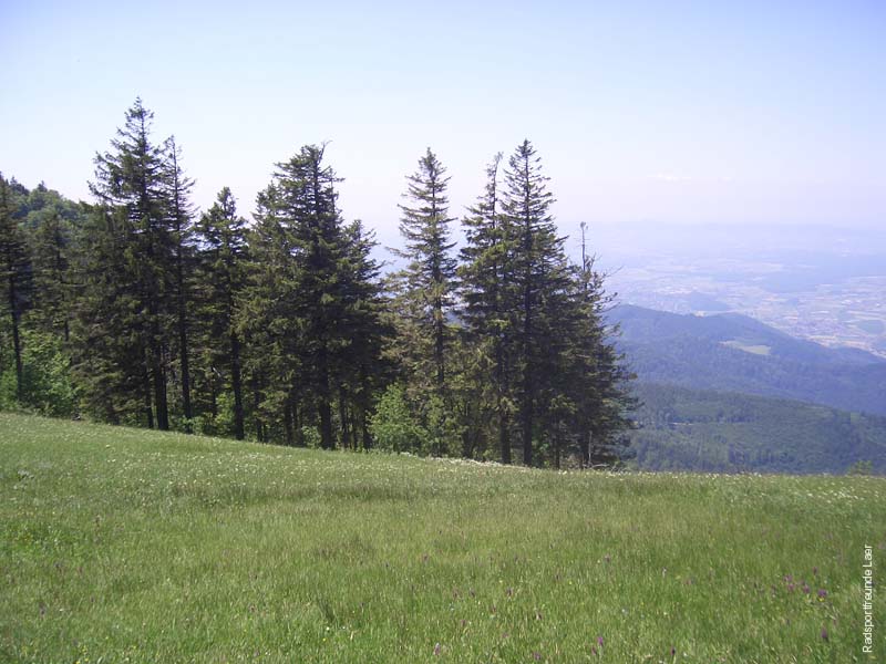 145_CIMG3667