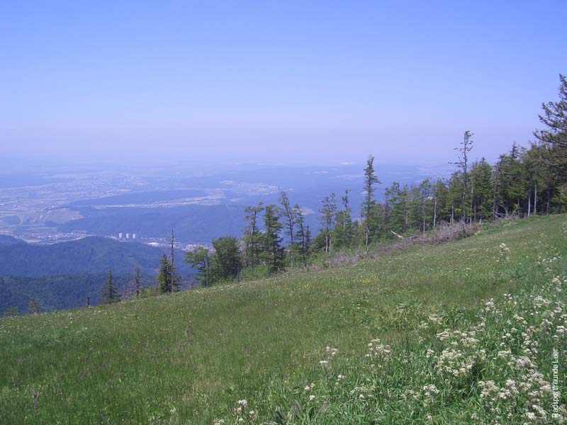 147_CIMG3668