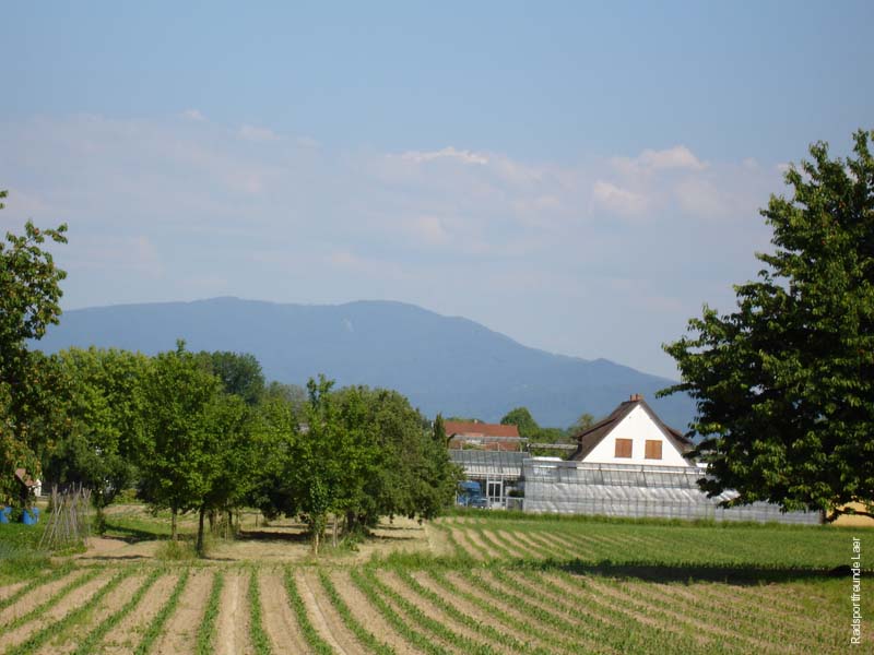 161_DSC00414