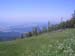 147_CIMG3668