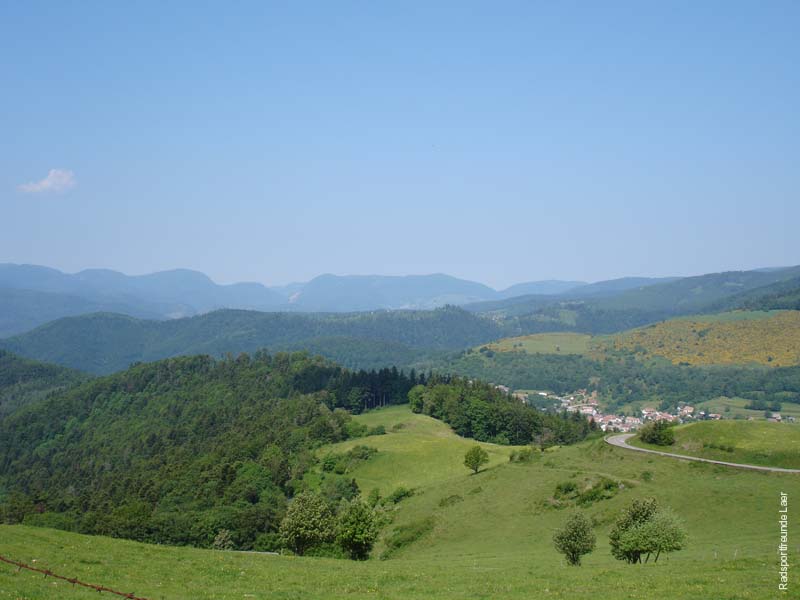 168_DSC00417
