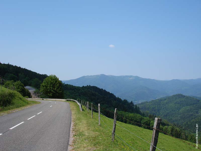 169_DSC00418