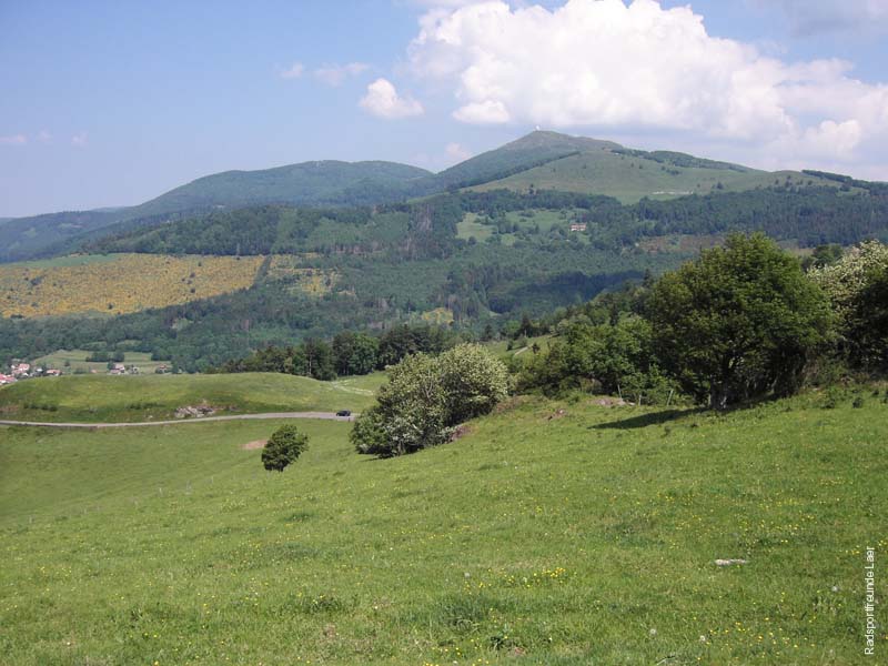 174_KIF_1495