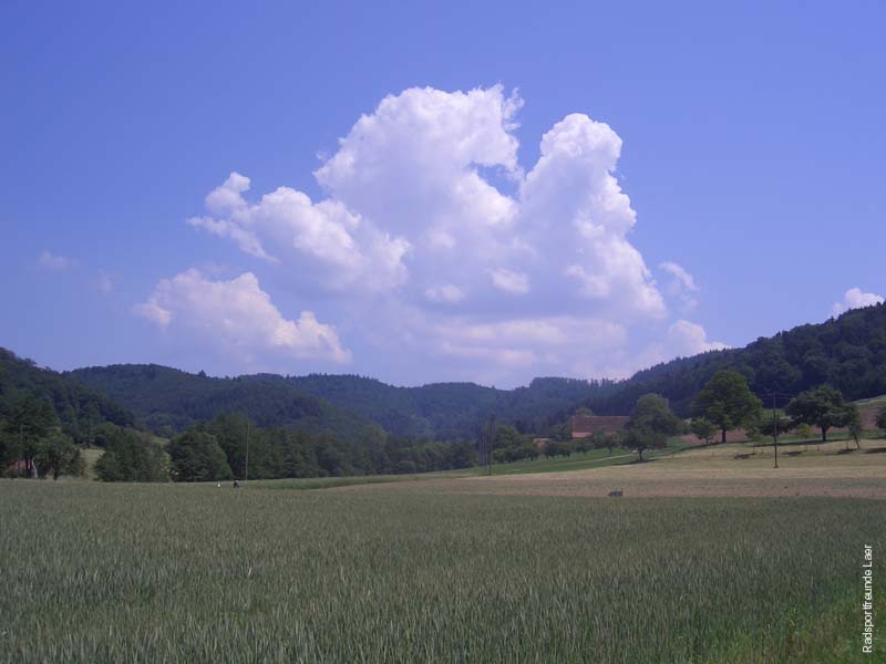 194_CIMG3672