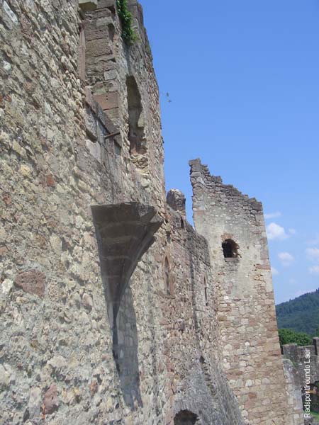 204_CIMG3684