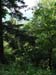 170_KIF_1493