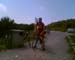 183_Bild023