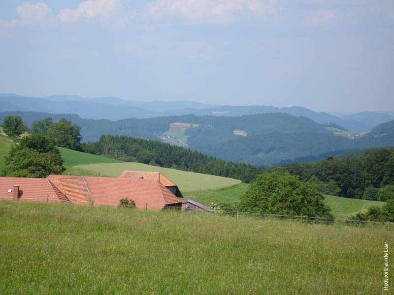 278_DSC00449