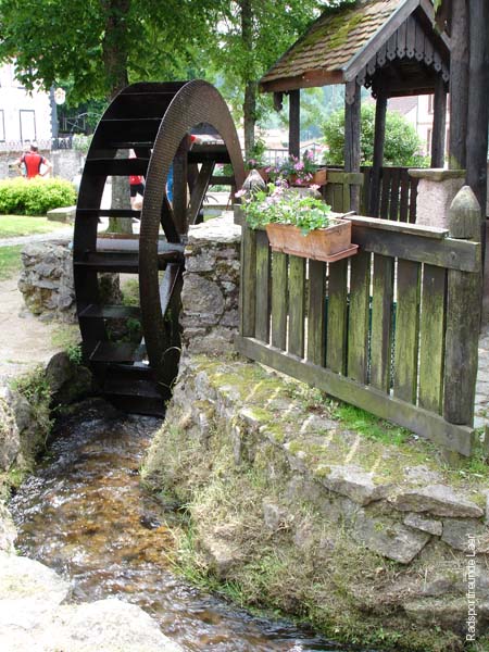 322_DSC00467