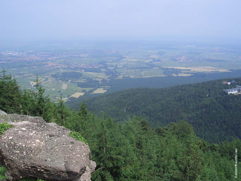 336_CIMG3696