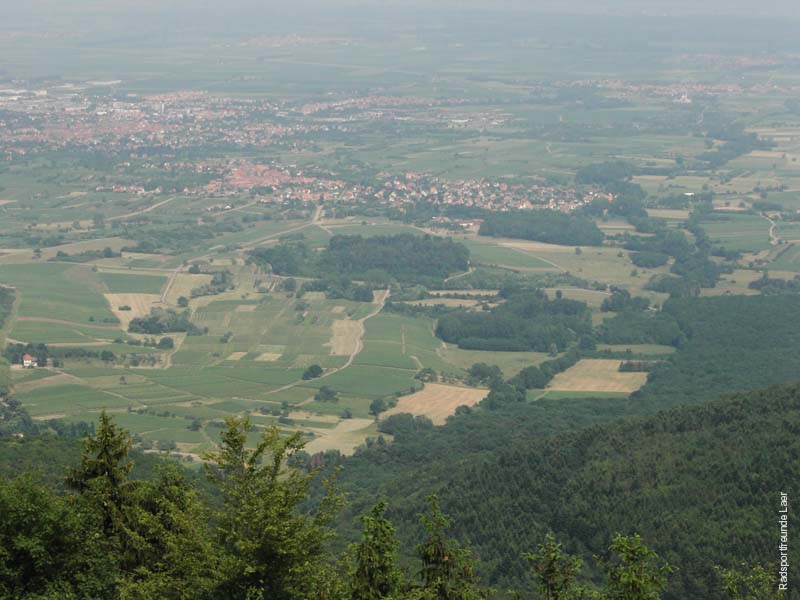 339_KIF_1553