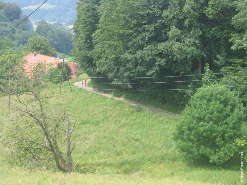 386_Bild 015
