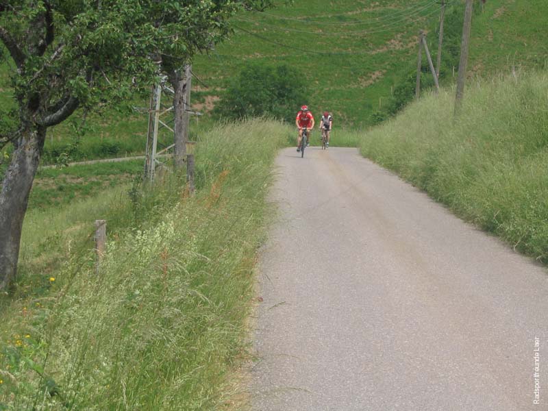 387_Bild 016