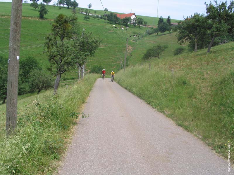 389_Bild 018