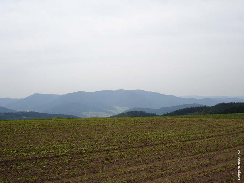 391_DSC00483