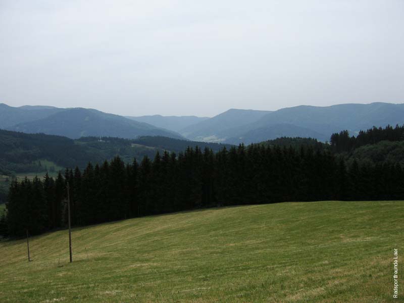397_KIF_1566