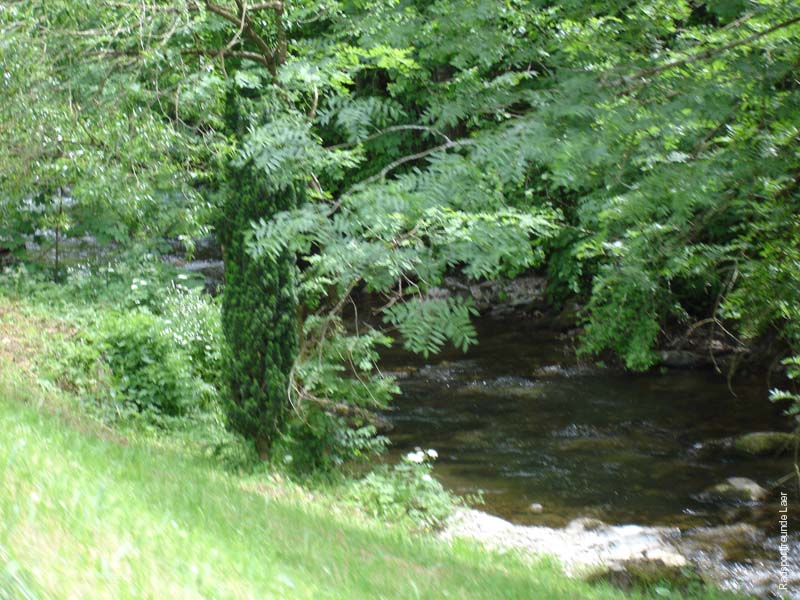 417_DSC00489