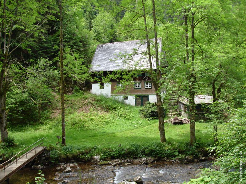 418_DSC00490