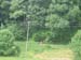 385_Bild 014