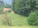 386_Bild 015