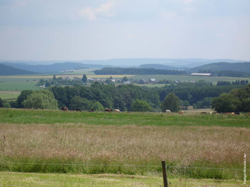 038_2007-06-02_13-59-00_DSC01454