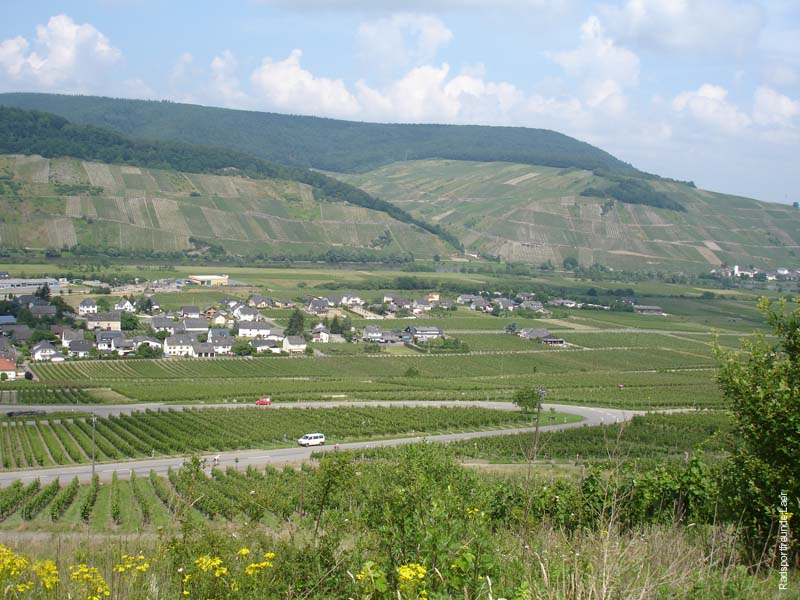 280_2007-06-05_11-50-55_DSC01497