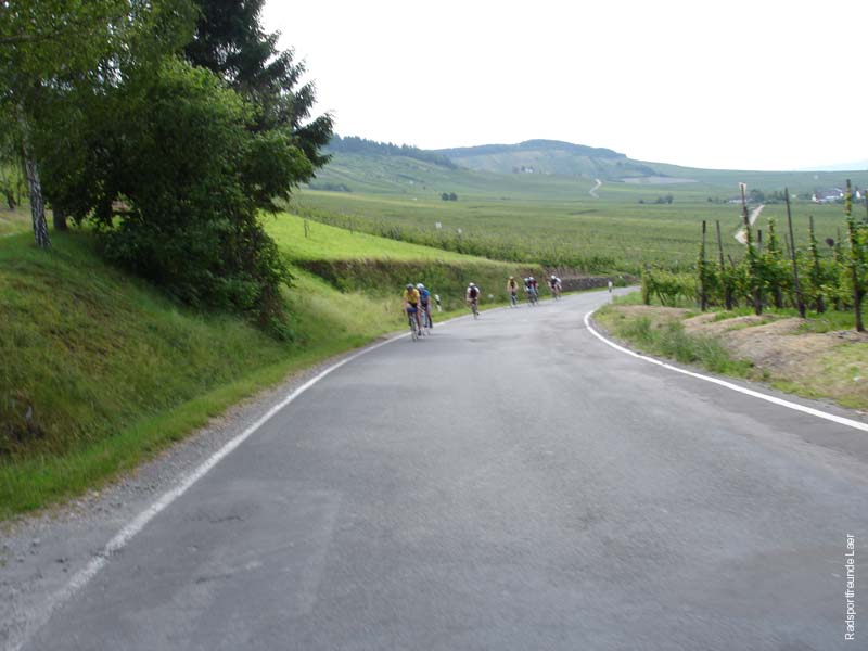 352_2007-06-05_16-47-15_DSC01513