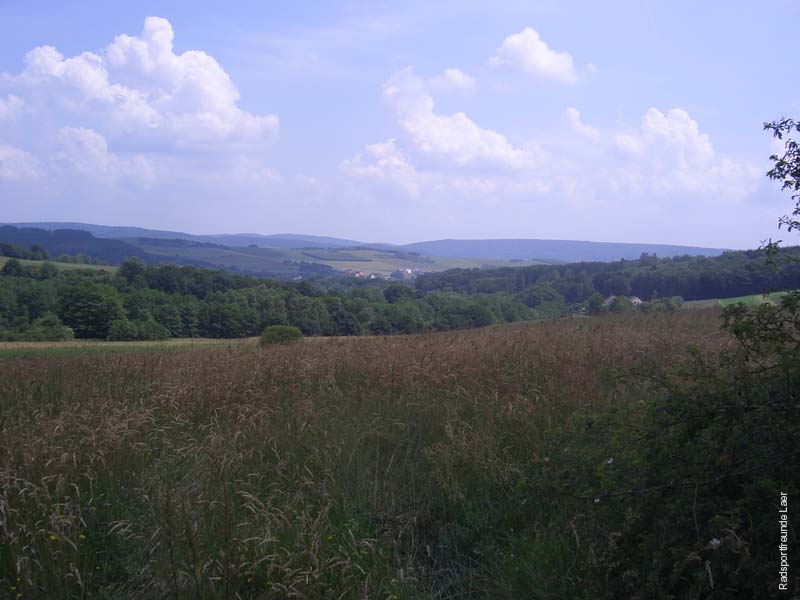 390_2007-06-06_13-45-57_CIMG4827