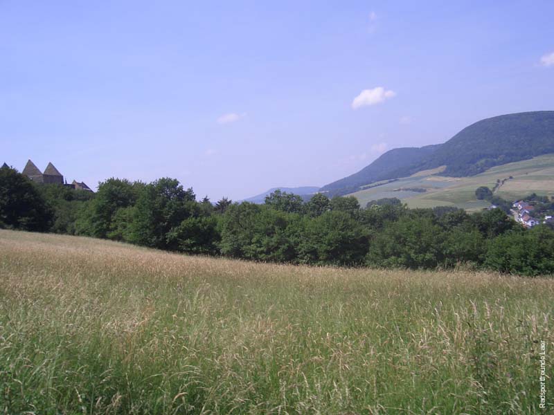 424_2007-06-07_12-24-06_CIMG4841