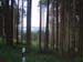 215_2007-06-04_11-15-22_CIMG4760