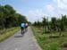 290_2007-06-05_12-05-57_DSC01500