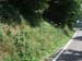 440_2007-06-07_13-20-27_CIMG4856