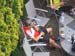 503_2007-06-08_16-58-43_CIMG4891