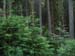 512_2007-06-09_11-05-35_KIF_2129