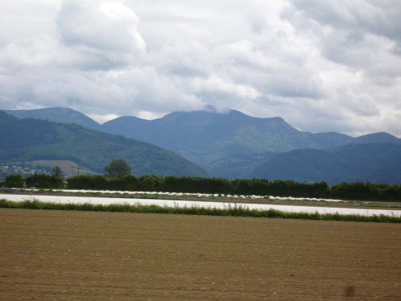 020_2008-05-17_12-55-14_DSC02272