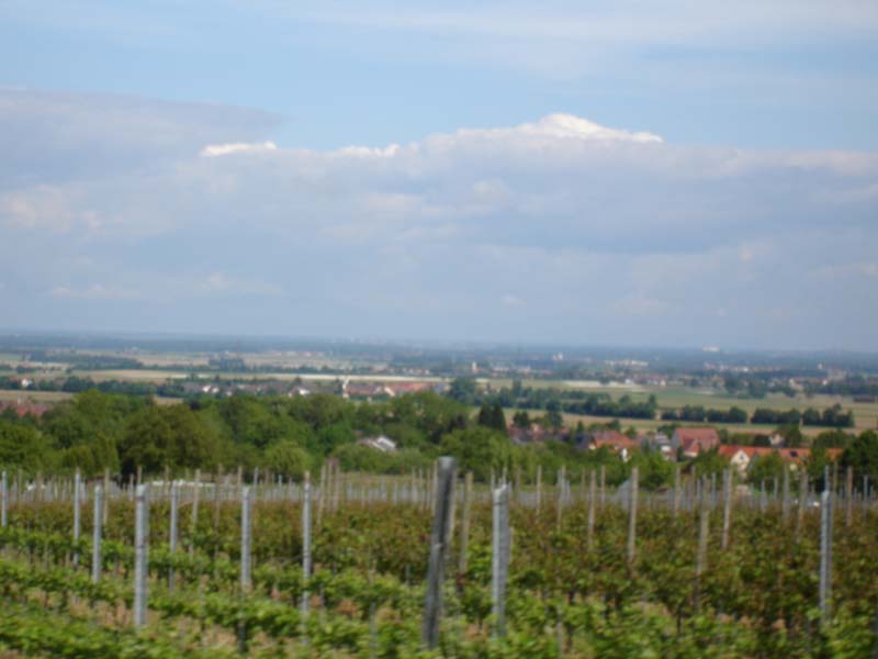 059_2008-05-18_10-07-43_DSC02276