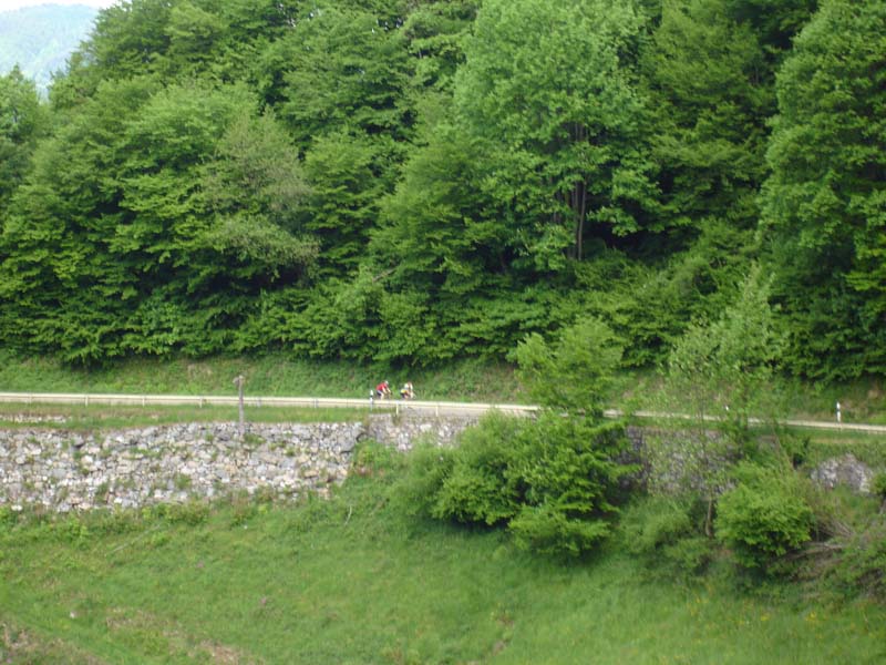 068_2008-05-18_10-55-22_DSC02281