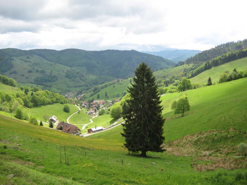 071_2008-05-18_11-25-53_Bild 001