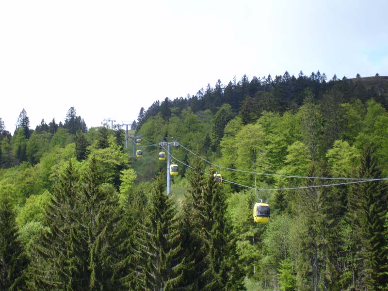 083_2008-05-18_11-58-06_DSC02283