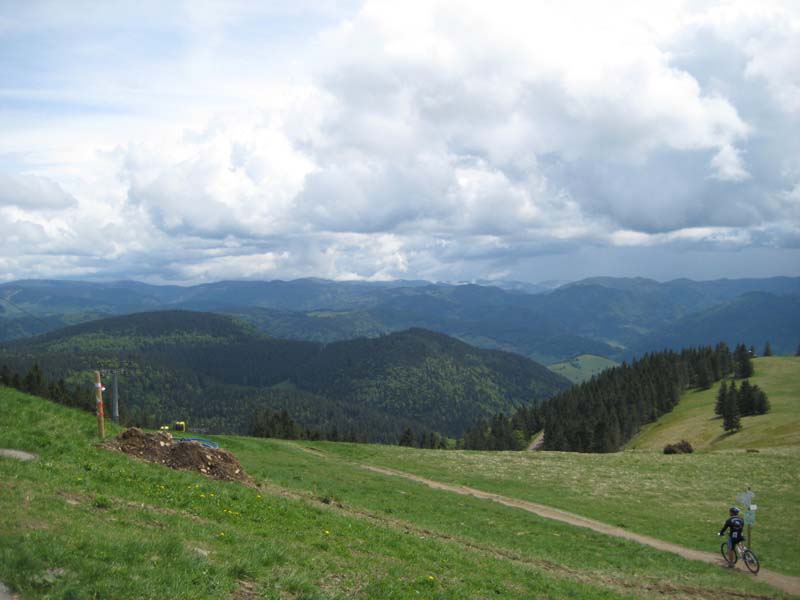 101_2008-05-18_12-23-40_IMG_0897