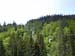 083_2008-05-18_11-58-06_DSC02283