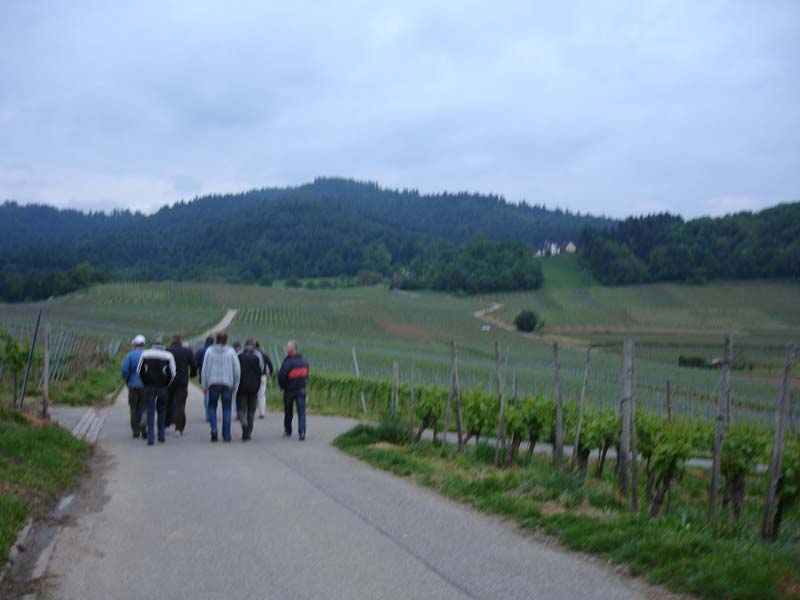 224_2008-05-19_20-12-50_DSC02310