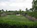 207_2008-05-19_14-59-57_IMG_0931