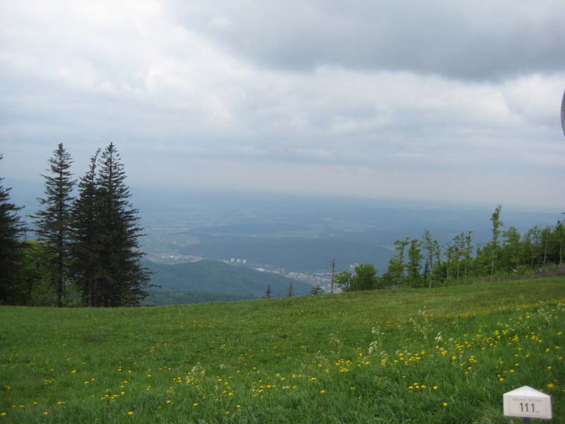 244_2008-05-20_14-05-59_Bild 055