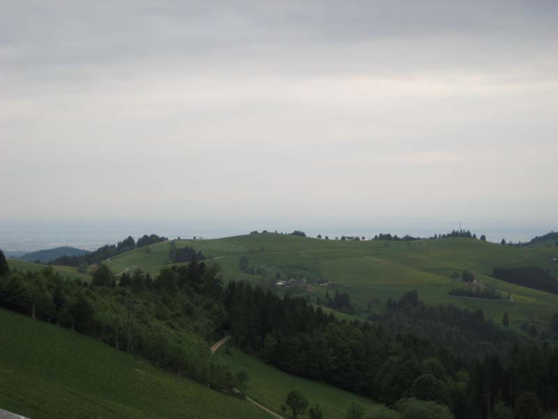 272_2008-05-20_16-59-06_IMG_0946