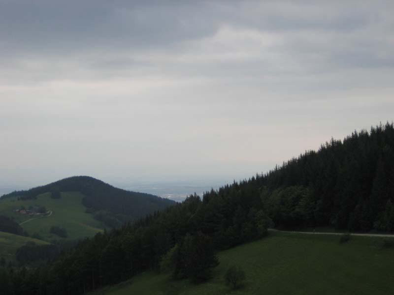 273_2008-05-20_16-59-14_IMG_0947