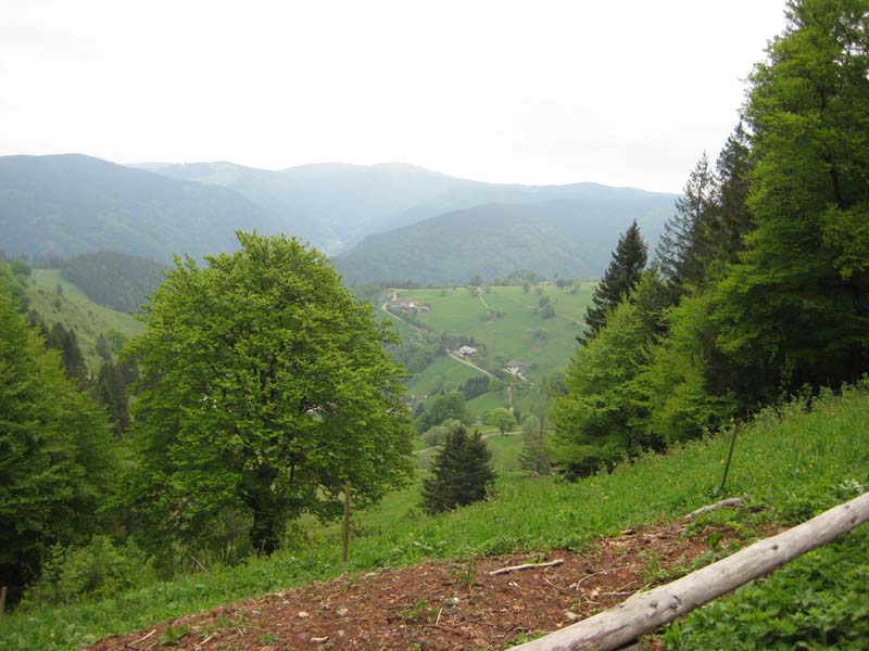 286_2008-05-20_17-25-03_Bild 068