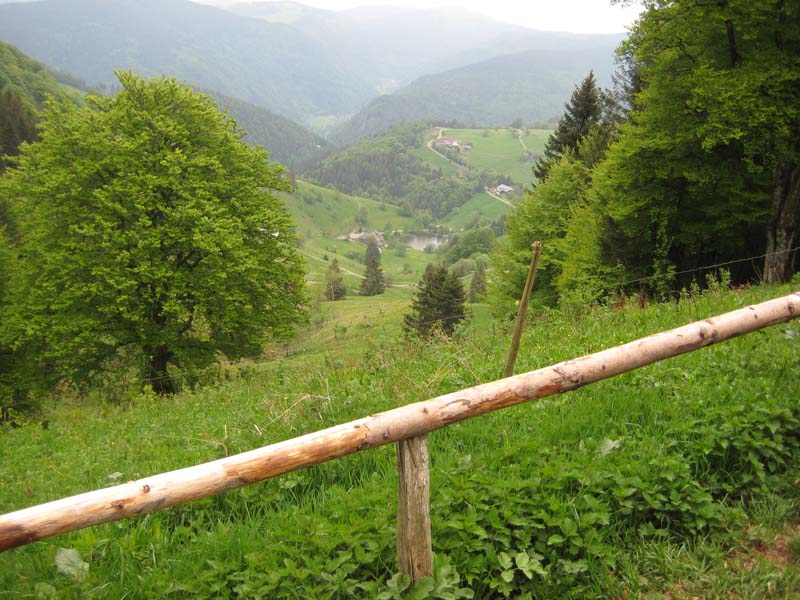 287_2008-05-20_17-25-14_Bild 069